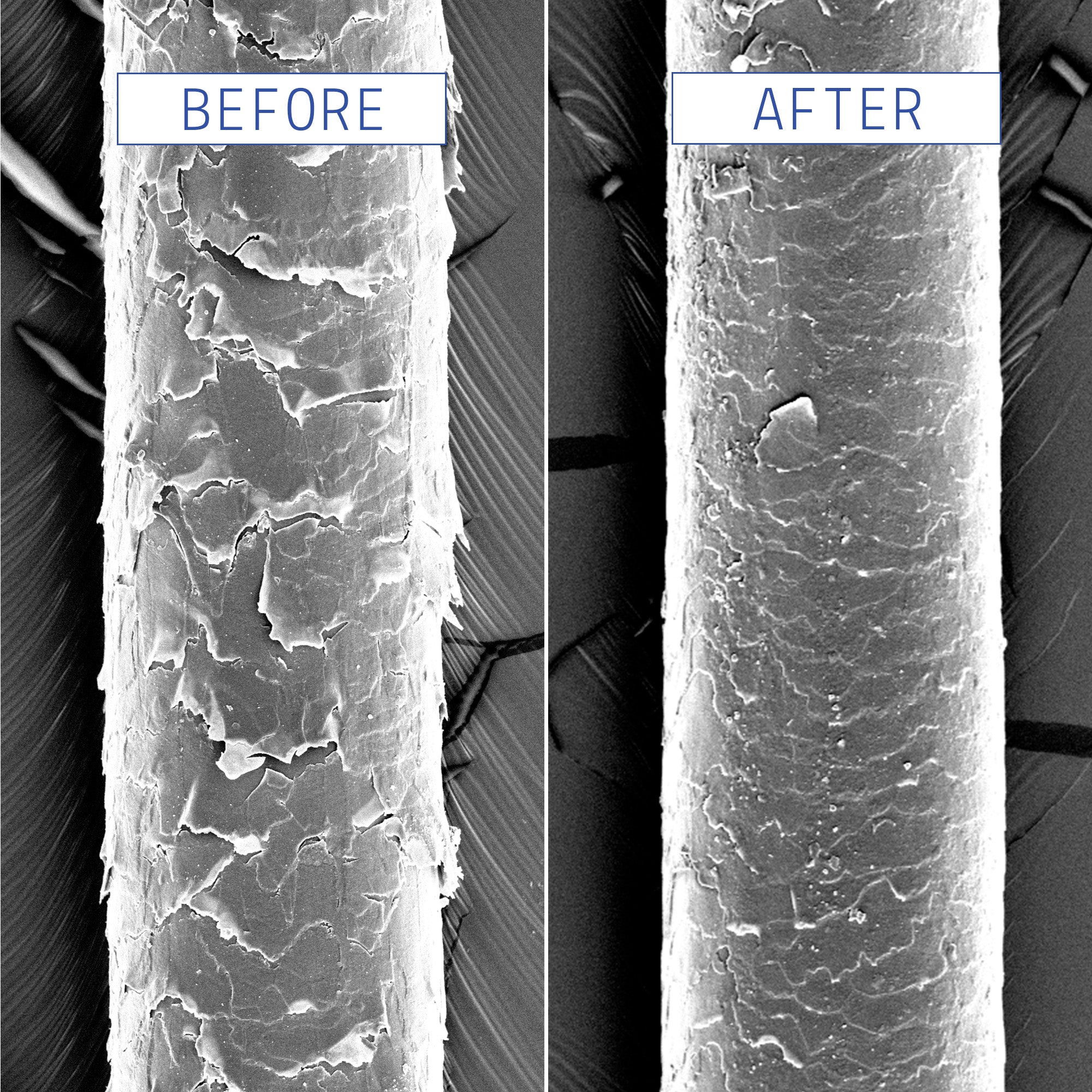 Hair Strand Before And After