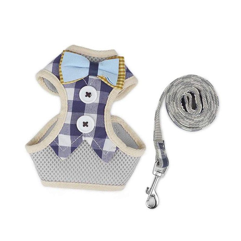 Adjustable Dog and Cat Harness Leash Set