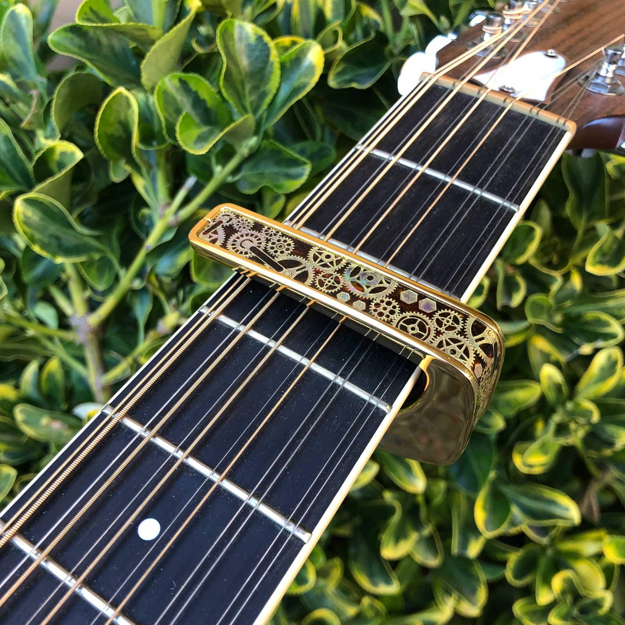 tiger guitar capo