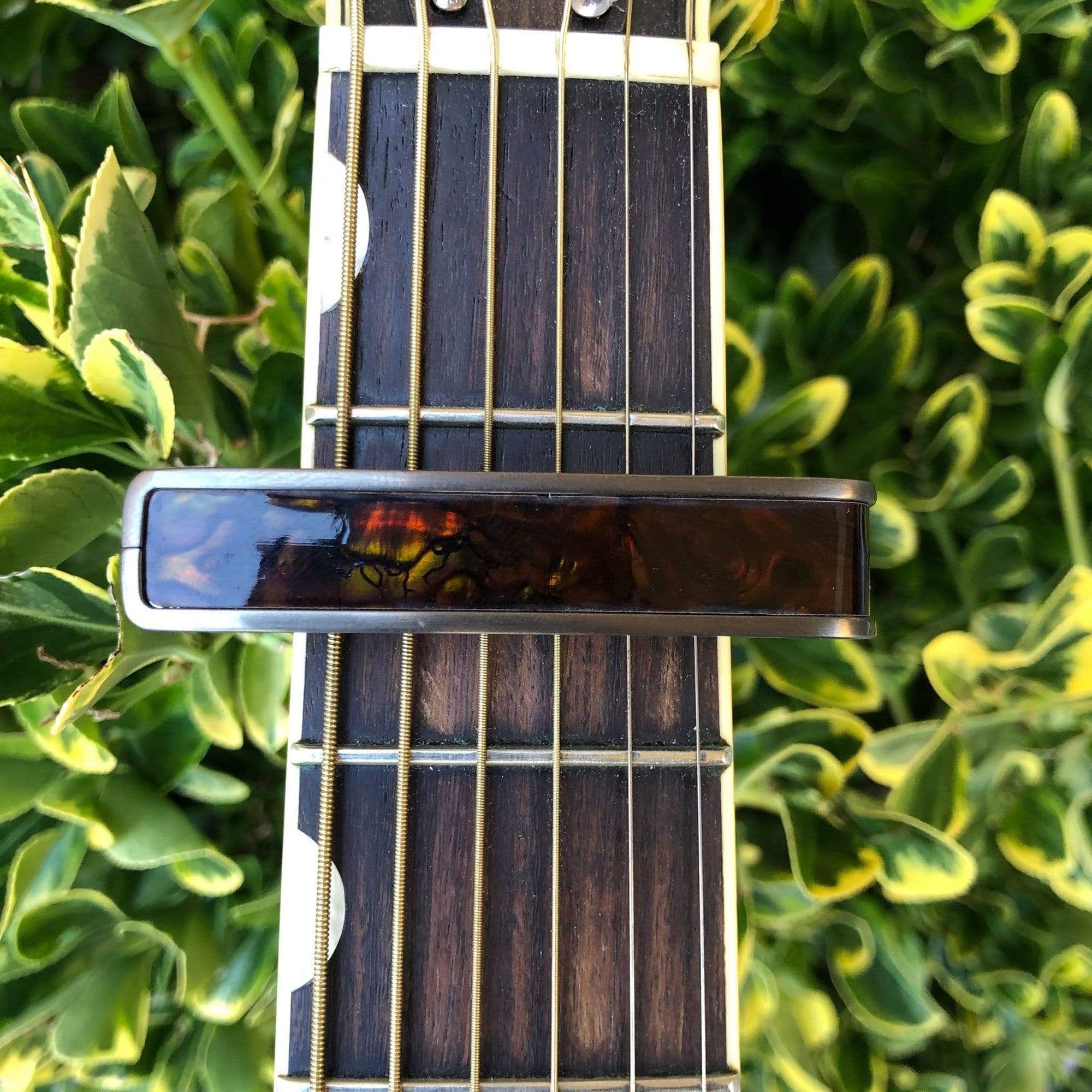 abalone capo