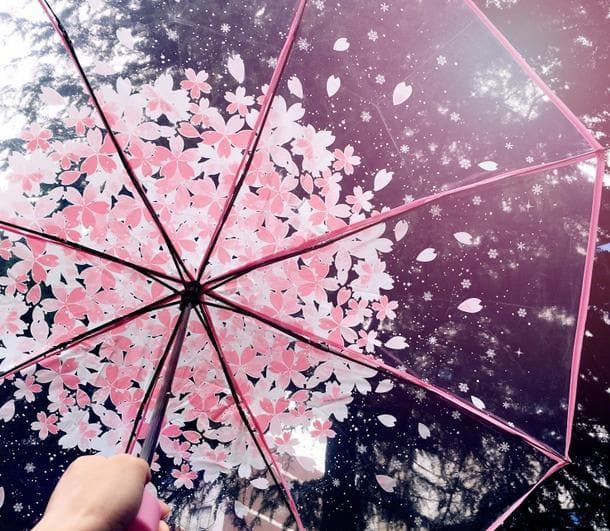 spreepicky_BluePink_Sakura_Sun-Rain_3_Fo