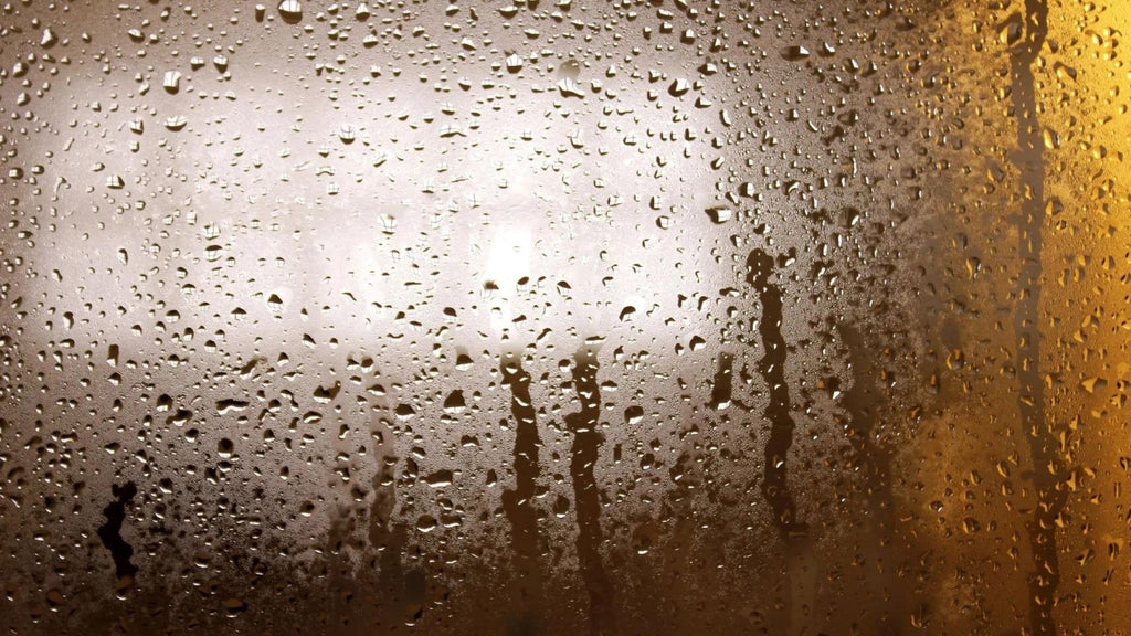 condensation on shower window