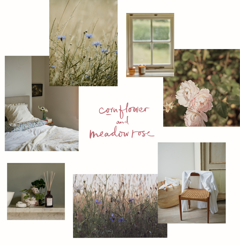 cornflower and meadow rose mood board