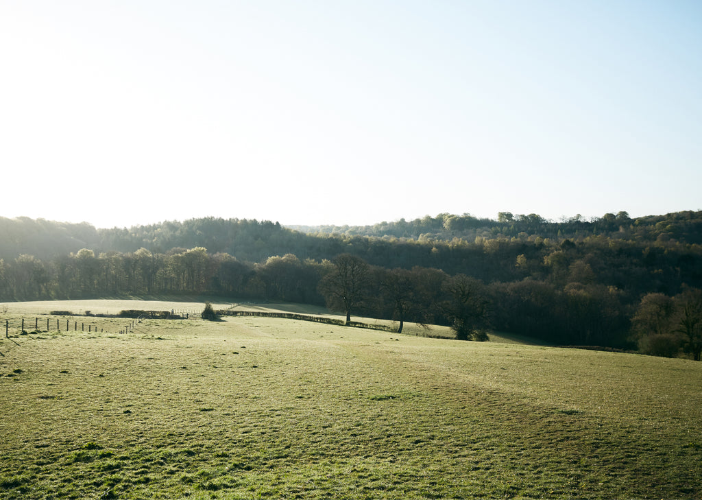 early morning frosty landscape image of a field with trees and hills in the distance