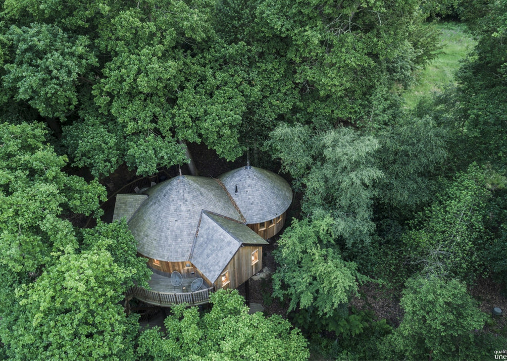 Arial view of a wooden building nestled in trees