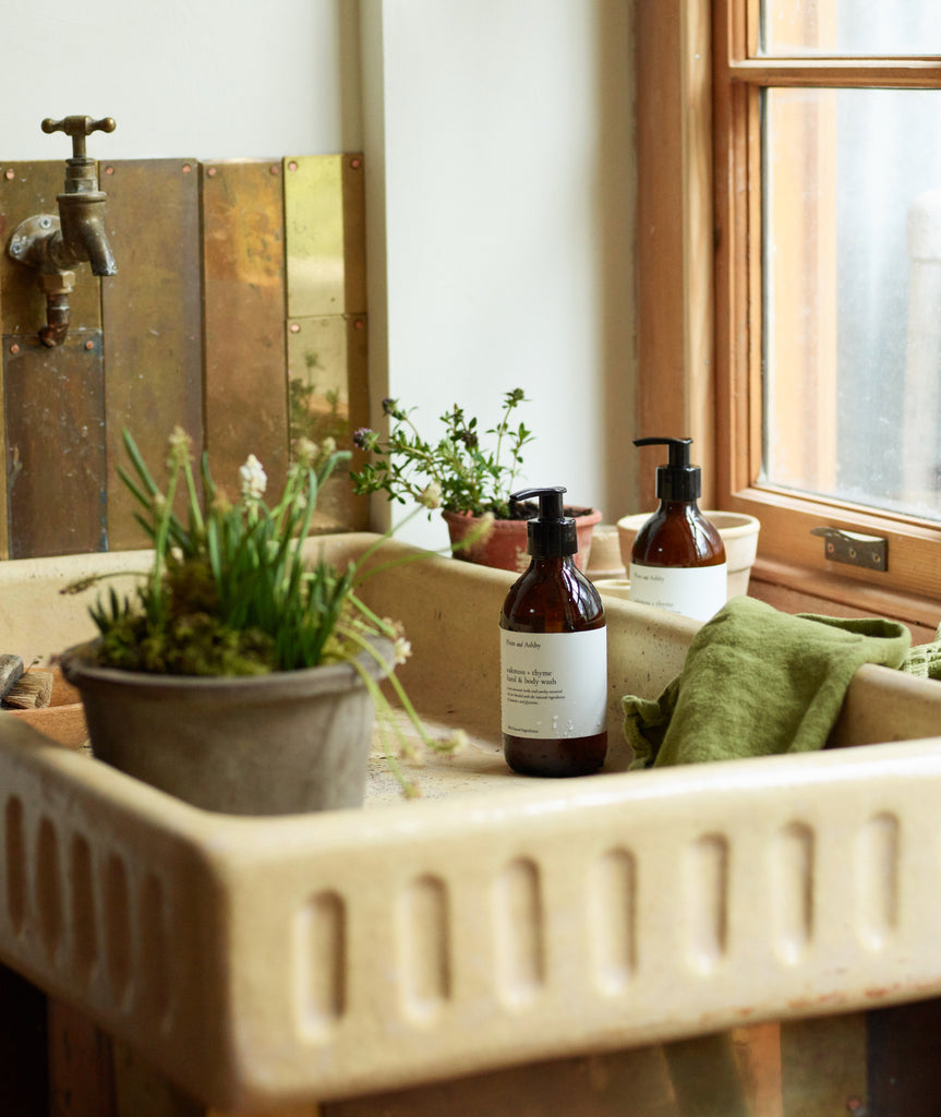 vintage sink with plants in next to big sash window