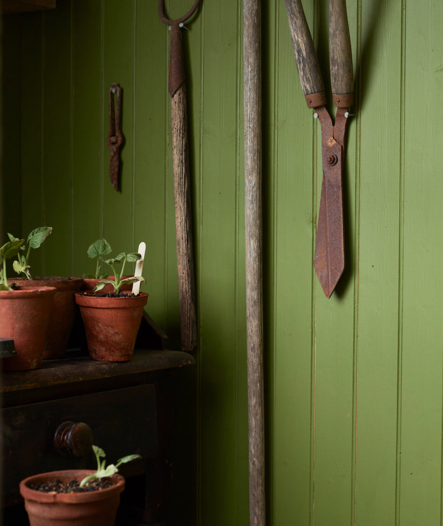 old wooden green shed with old garden tools hanging up next to old terracotta pots with little plant seedlings poking out