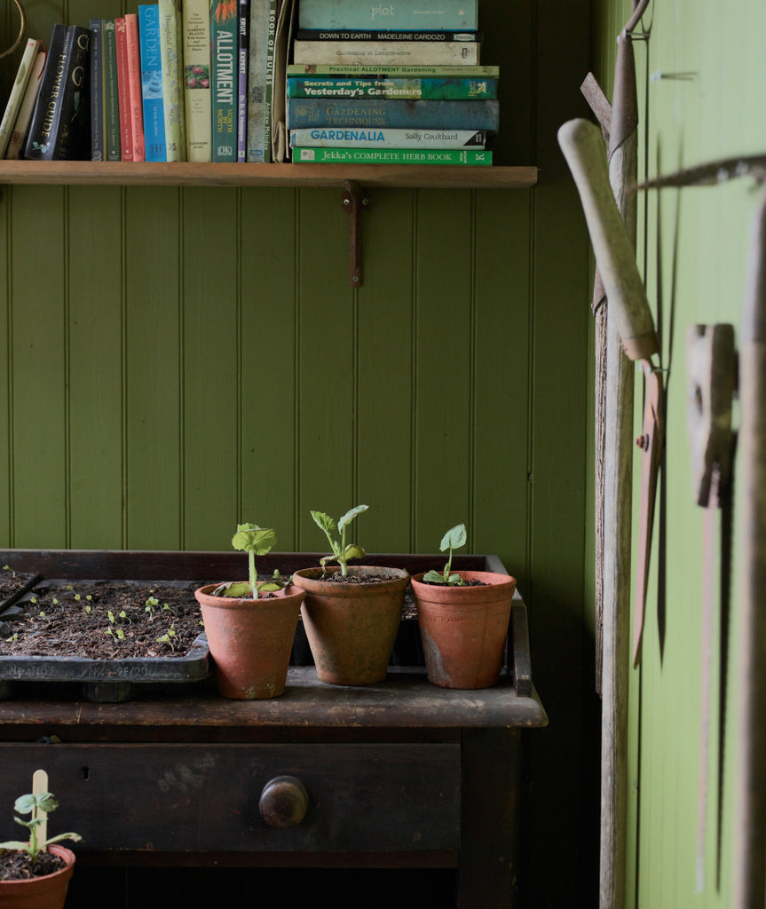 green wooden shed with book shelve filled with gardening books, an old table with terracotta plant pots on with little seedlings poking out and tools hanging up on the wall