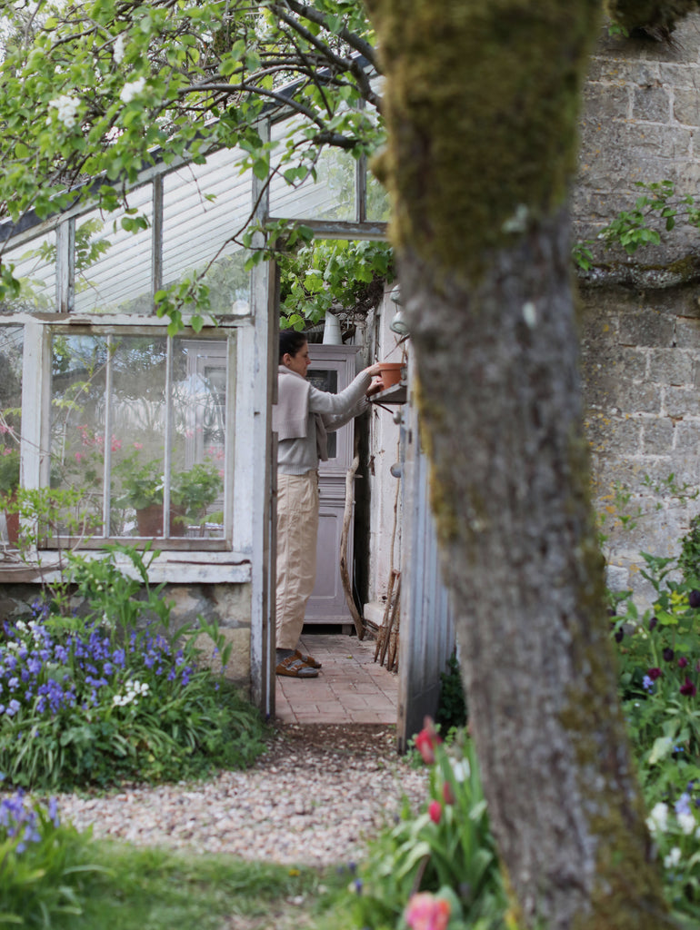 looking into greenhouse from summer garden