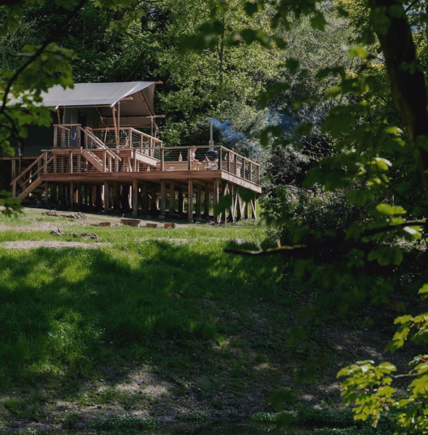 wooden cabin within woodland