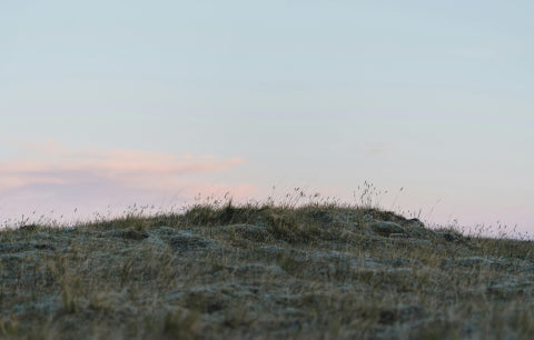 Sunrise over a hill on winter's morning.