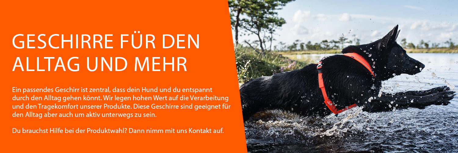 Ein passendes Geschirr ist zentral, dass dein Hund und du entspannt durch den Alltag gehen könnt. Wir legen hohen Wert auf die Verarbeitung und den&nbsp;<span style="caret-color: #b3b3b3;">Tragekomfort</span>&nbsp;unserer Produkte.&nbsp;Diese Geschirre sind geeignet für den Alltag aber auch um aktiv unterwegs zu sein.