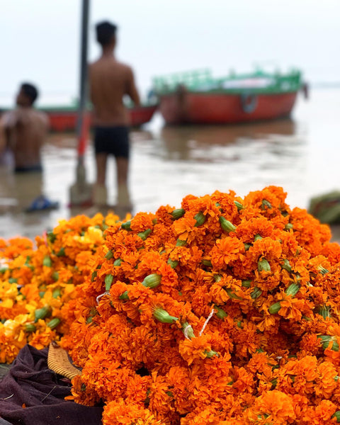 Marigold Flowers and Boy Standing in the Ganges River in Varanasi, Uttar Pradesh, India - August 2019