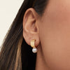 Bold Pearl Huggies: Close-up of a woman's ear adorned with handcrafted gold vermeil huggie earrings, featuring elegant freshwater pearls.