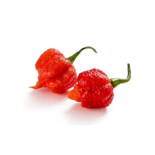 Piment_Carolina_Reaper_echelle_de_Scoville