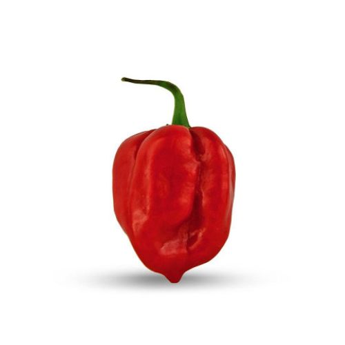 Piment_Habanero_echelle_de_Scoville