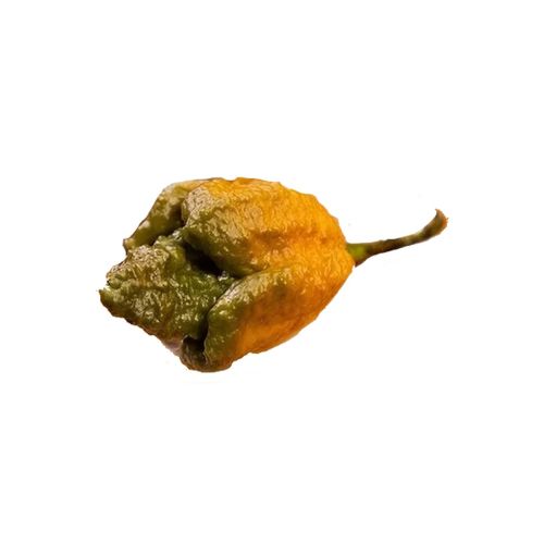 Piment_Pepper_X_echelle_de_Scoville