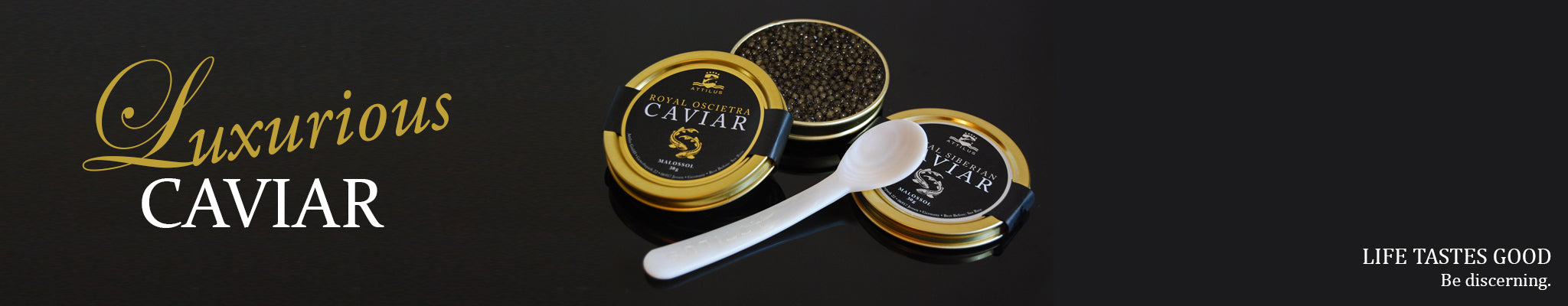 Attilus Caviar | Buy Online | Caviar Price | Premium Collection