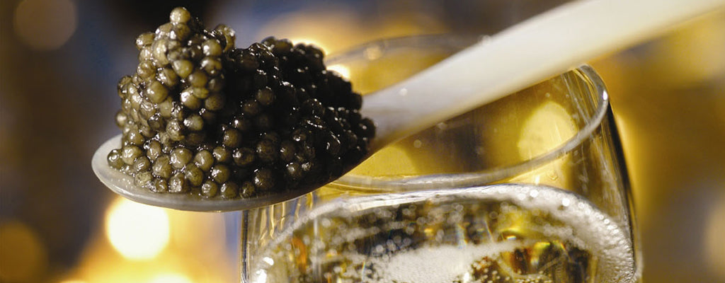 Attilus Caviar Pairing Caviar with Champagne