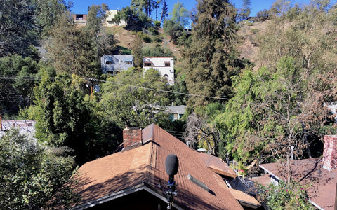 Laurel Canyon