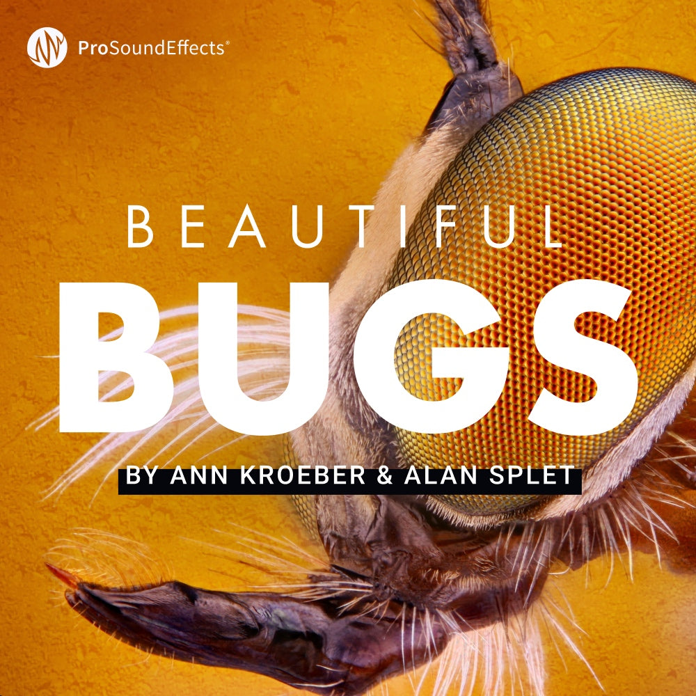 Beautiful Bugs 昆虫の効果音ライブラリ プロの効果音