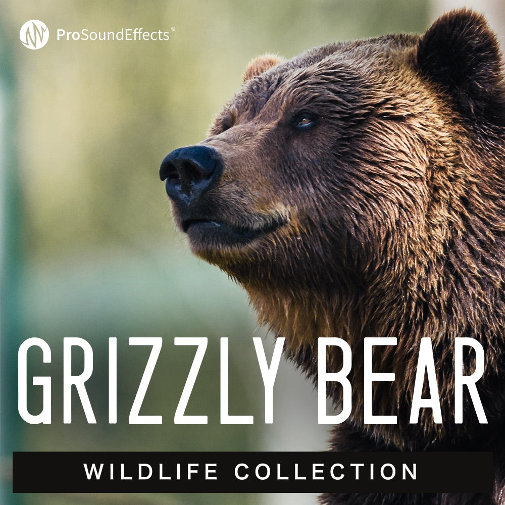 ワイルドライフコレクション Grizzly Bear 動物のサウンドエフェクトライブラリ Pro Sound Effects