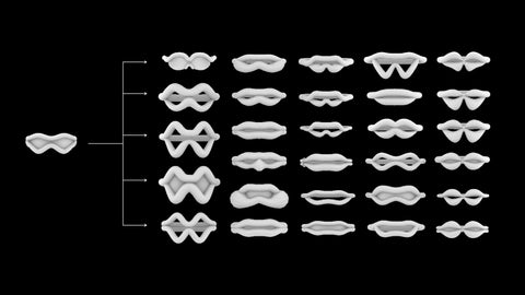 Paloceras PUFF collection structure