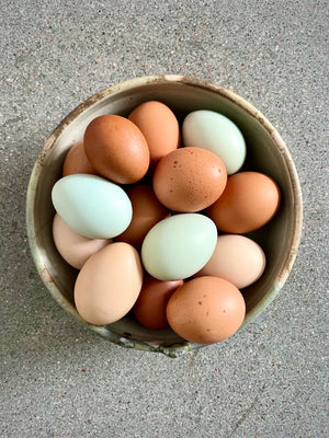 Eggs by the dozen - Everblue Gardens - Eggs