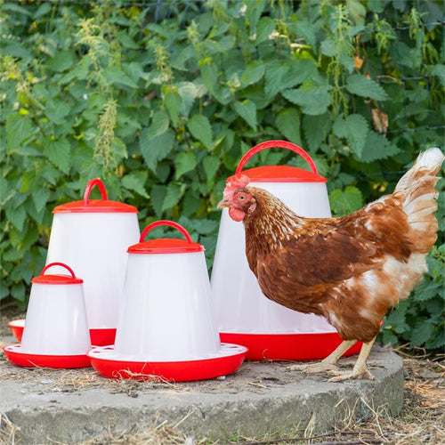 560010-4-poultry-feeder-with-lid-pp-red-white