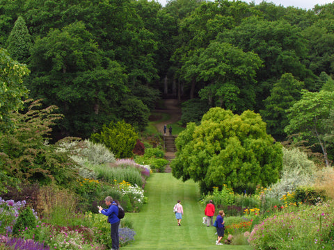 Harlow Carr