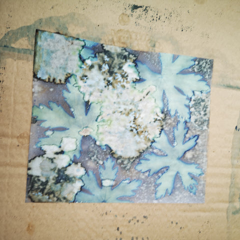 cyanotype