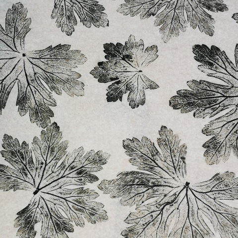 geranium leaves botanical print