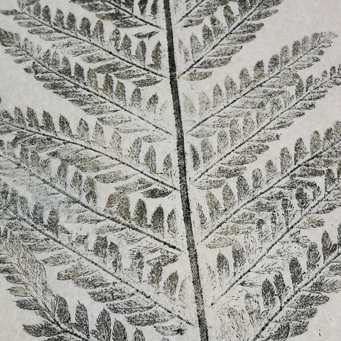 fern print