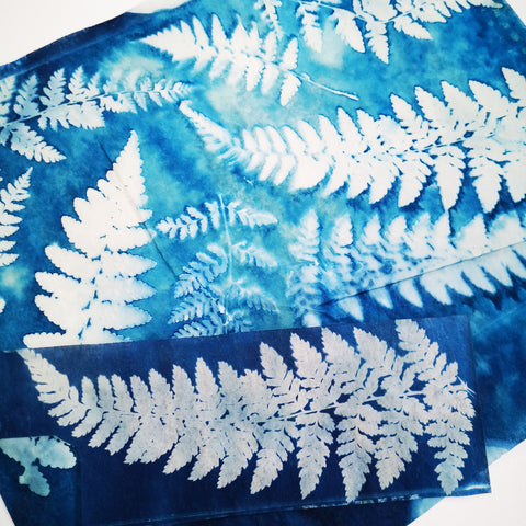 Cyanotypes