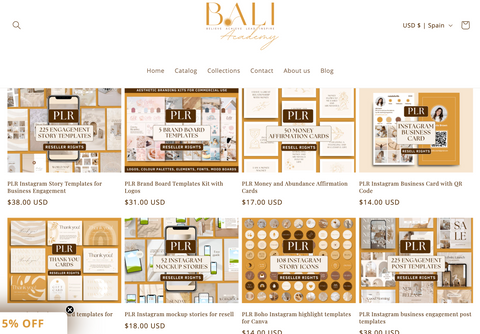 Aesthetic PLR templates from BALI Academy PLR Shop as an example of cohesive branding style