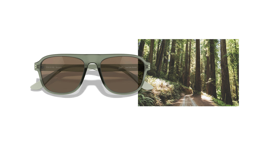 Mossy forest as color inspiration for sunglasses