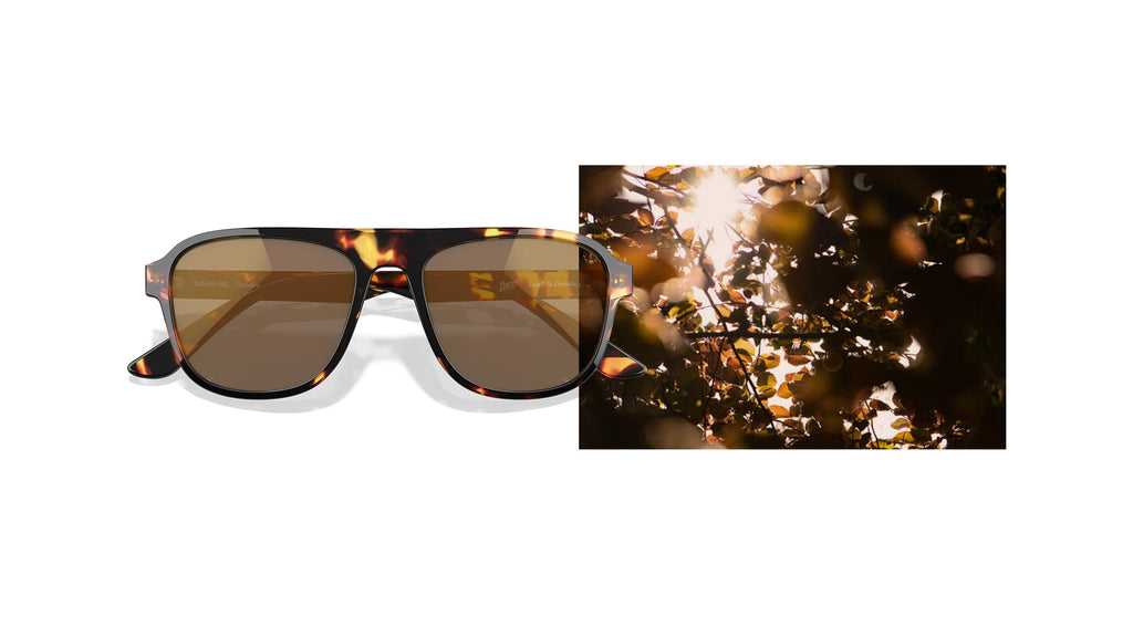 Transparent leaves as color inspiration for sunglasses