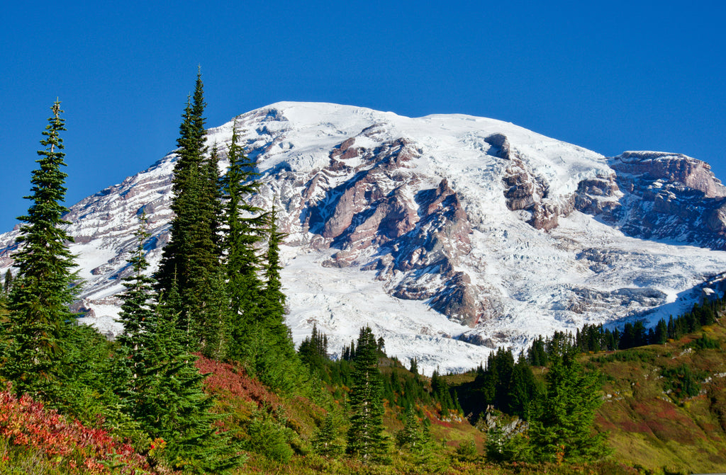 mount rainier national park