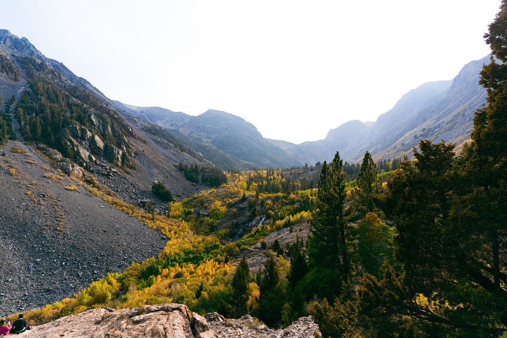 lundy canyon