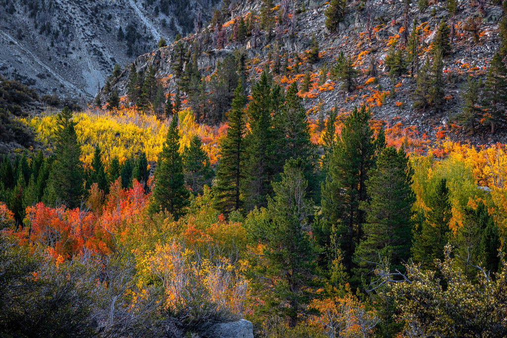 eastern sierra mountains