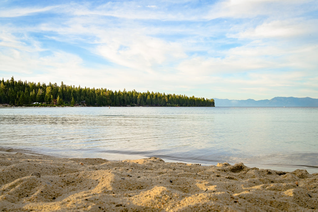 View of timber line and mountains from a sandy lake beach