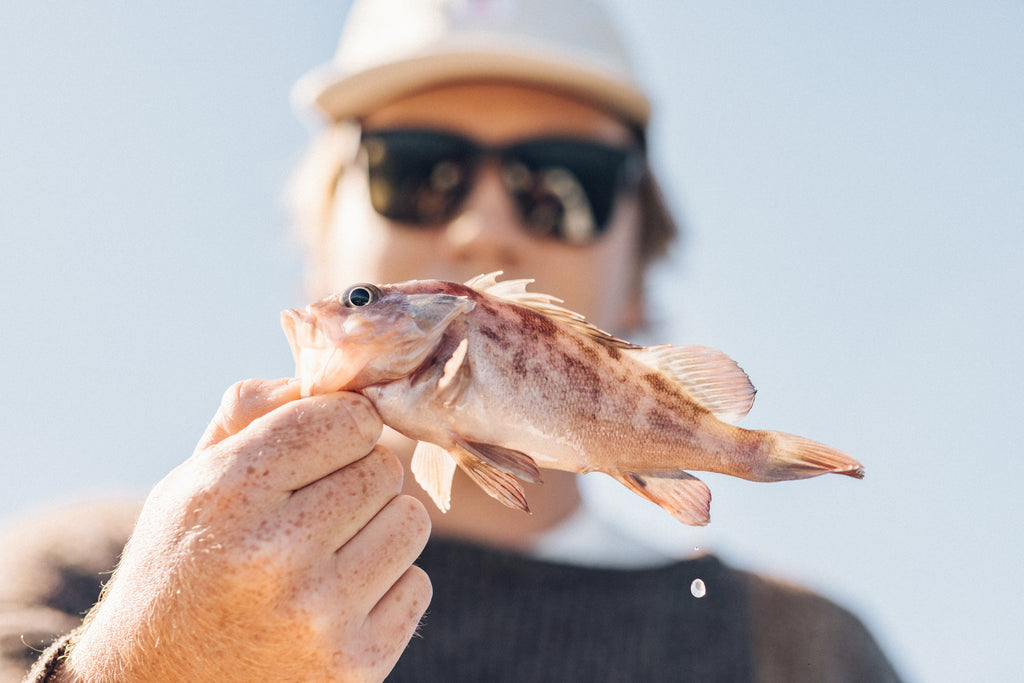 Man holding a small fish on fishing trip