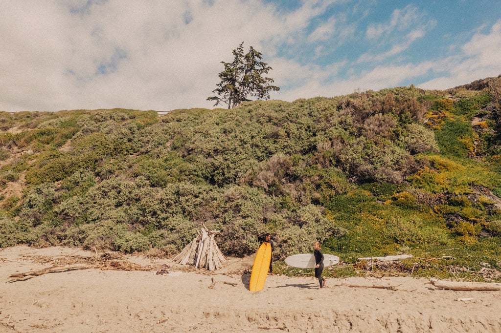 Two surfers prepping to hit the waves by the sea cliffs