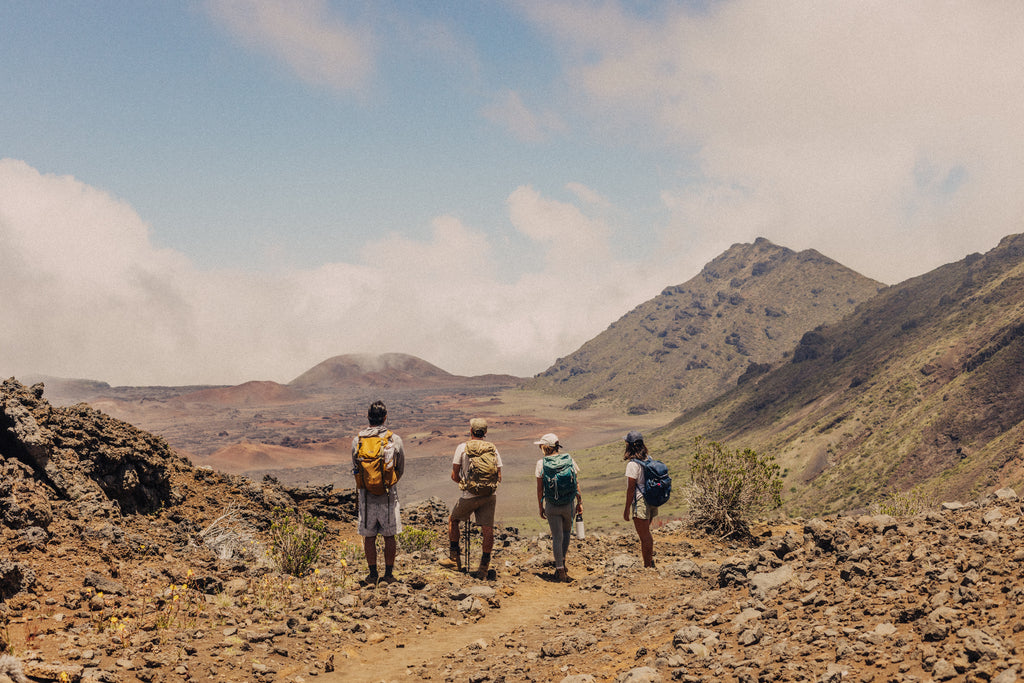 Group of hikers overlooking the desert mountain view