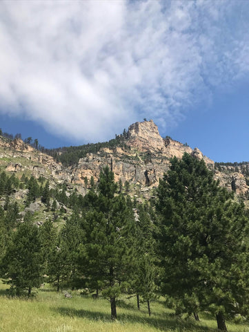 tongue river canyon wyoming