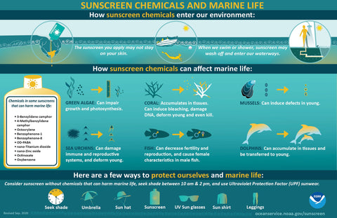 Infográfico que mostra como os químicos dos protetores solares entram no ambiente