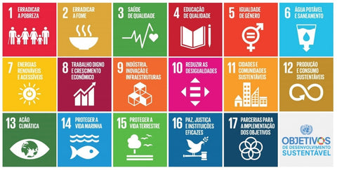Imagem com os 17 objetivos do Desenvolvimento Sustentável