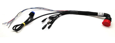 37 pins harness for AiM MXP data logger