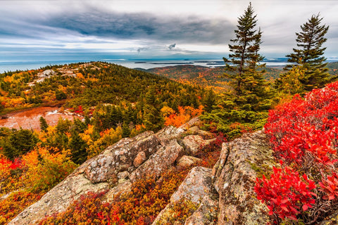 FALL CAMPING