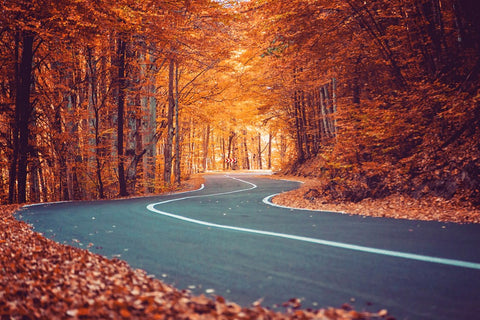 fall-road